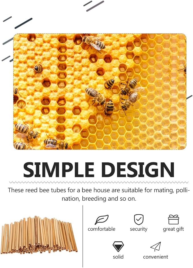 Garneck 300Pcs Natural Reed Bee Tubes 15cm Hollow Stems for Bee Nesting Pollination (0.5-0.8cm Diameter)