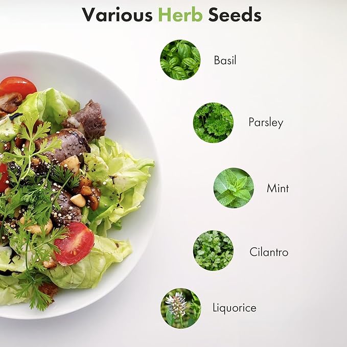 Herb Seed Pod Kit for AeroGarden, iDOO, Ahopegarden - Compatible with All Hydroponic Indoor Garden System, 350+ Seeds Includes Basil, Parsley, Mint, Cilantro, Liquorice, 7 pods