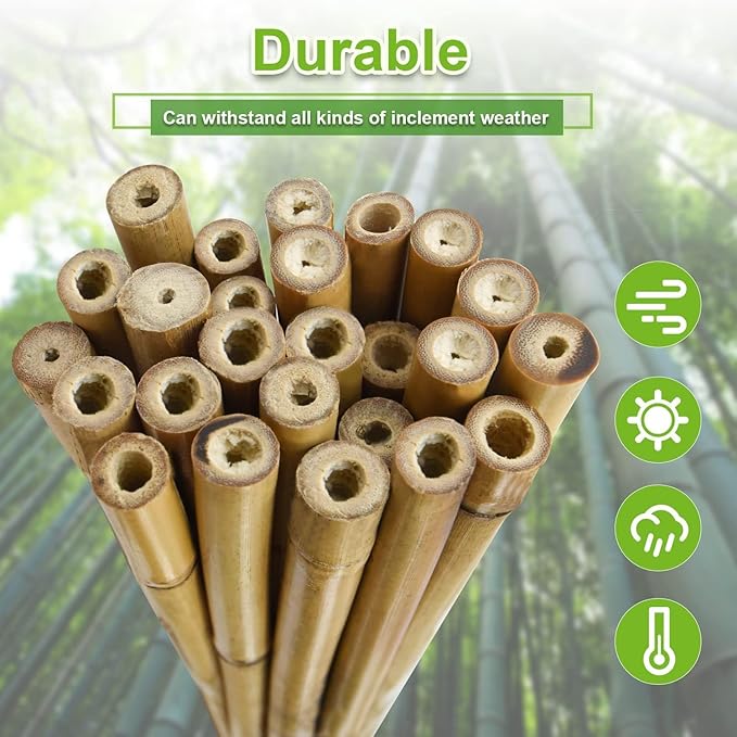 Jollybower 25pcs 7/20" D Thicker Heavy Duty Bamboo Stakes, 3FT Plant Stakes, Natural Garden Stakes for Tomato, Bean, Flowers,Trees Potted and Climbing Plant Support