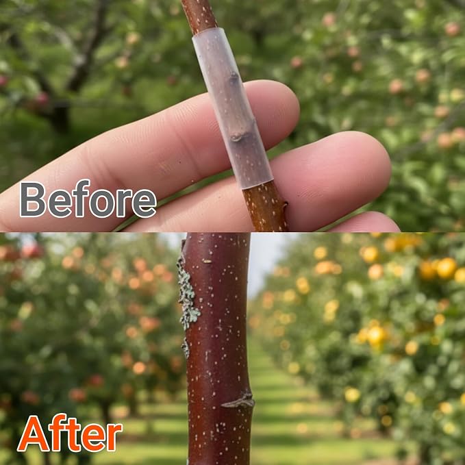 100 PCS Silicone Grafting Sleeves for Fruit Trees, Grafting Tool and Plant Propagation Buddy, Professional Plant Grafting Tape for Fruit Trees, Vines and Roses, Random Size Combination of 3-7.5mm