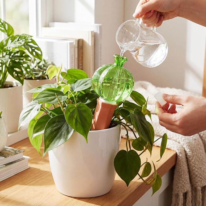 Teenyyou 3 Set Glass Self Watering Globes with Terracotta Self Watering Spike 12 oz Large Glass Waterer Bulbs Automatic Water Planter Insert Plant Water Device for Indoor Outdoor Plant(Green,Cactus)