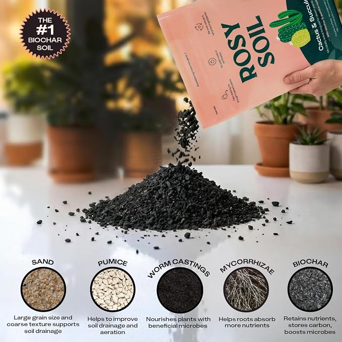 Rosy Soil Cactus Soil – Organic Succulent Potting Mix, Chunky Fast Draining, Peat-Free, Root Boosting Mix for AloeVera, Cacti, Indoor Succulents - 4qt, Pack of 2