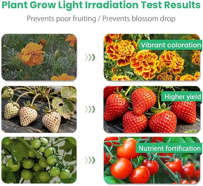 Grow Lights for Indoor Plants 2 Heads Full Spectrum, Flexible Gooseneck Clip On Plant Light 40 LEDs, 3/9/12H Auto Timer 3 Modes 10 Brightness Levels for Seed Starting, Flowers & Vegetables