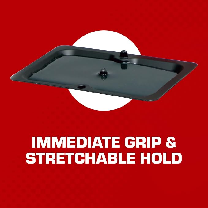 Tomcat Glue Traps Mouse Size with Eugenol for Enhanced Stickiness - Sticky Pads For Mice, Cockroaches, and Spiders, 6 Traps