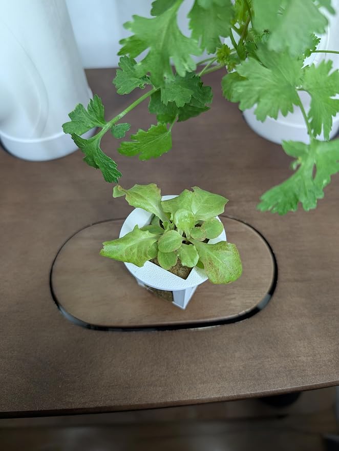 Grow Cubes for Hydroponic System/Compatible with Gardyn (10 Grow Cubes)