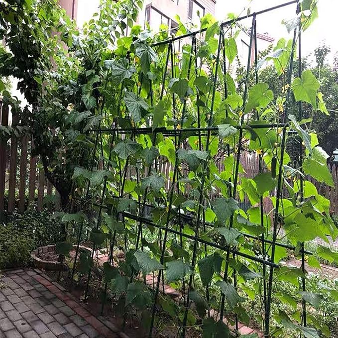 Sturdy Metal Garden Stakes 4 Ft Tomato Cage Plastic Coated Steel Plant Sticks for Tomatoes,Trees,Cucumber,Fences,Beans,Pack of 50