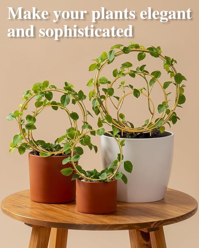 3 Pack Circle Plant Trellis Indoor, Small Metal Plant Support Stake for Climbing Plants, Different Sizes Round Garden Trellis for Ivy and Flowers Outdoor (Gold)