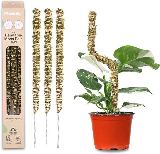 Mossify Bendable Moss Pole for Monstera 3 Pack (16" / 30" / 42") – Flexible Moss Pole Stakes for Indoor Plants – Premium Forest Moss with 3-Prong Stake System – Indoor & Outdoor Plant Trellis Set