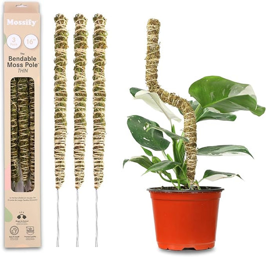 Mossify Bendable Moss Pole for Monstera 3 Pack (16" / 30" / 42") – Flexible Moss Pole Stakes for Indoor Plants – Premium Forest Moss with 3-Prong Stake System – Indoor & Outdoor Plant Trellis Set
