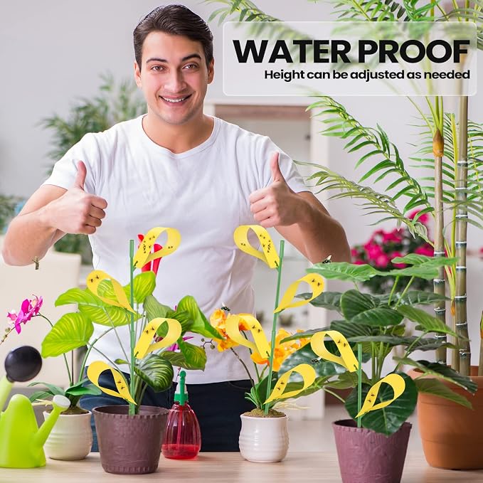 Qualirey 200 Pcs Sticky Houseplant Traps Fungus Gnat Fruit Fly Trap Sticky Houseplant Stakes Insect for Indoor Outdoor Garden Aphids, Whiteflies, Fruit Flies, Fungus Gnat, and Other Insect (Yellow)