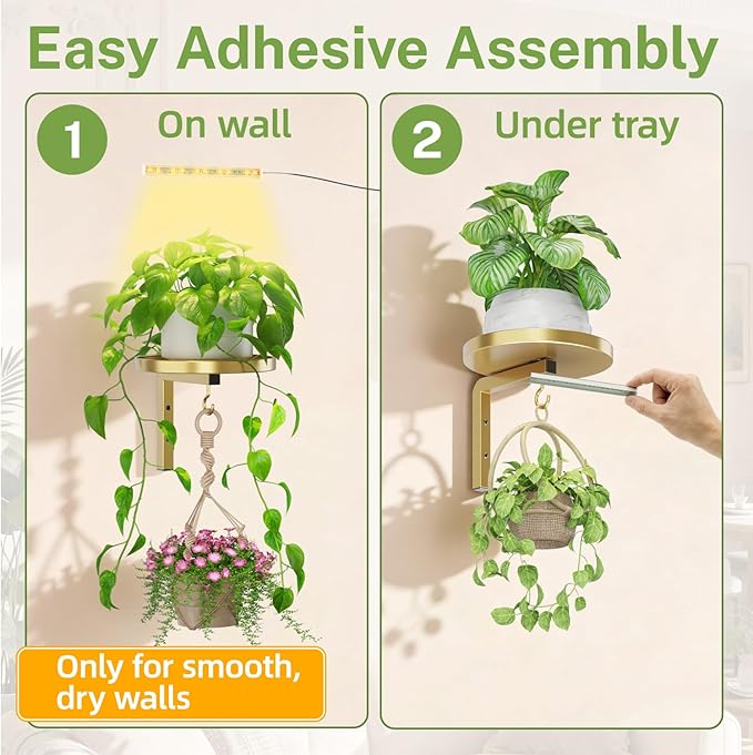 iDavosic.ly Wall Plant Holder with Grow Lights Set of 2 for Indoor Outdoor, Metal Hanger with 2 Hooks, Floating Flower Display Stand for Window, Space Saving & Easy to Assemble (Pots Not Included), Gold