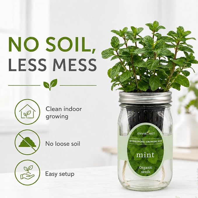 Hydroponic Herb Growing Kit, Self-Watering Mason Jar Herb Garden Starter Kit Indoor, Window Herbs Garden, Grow Your Own Herbs from Organic Seeds (Mint)