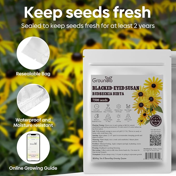 Groundio Black Eyed Susan Seeds, 7500+ Perennial Flower Seed to Plant Indoor & Outdoor, Attract Pollinators | Non-GMO | Heirloom Wildflowers Seeds, USDA Zone 3-9 (Rudbeckia Hirta)