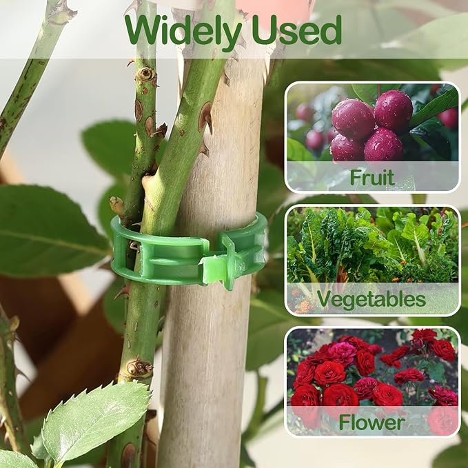 100 Pcs Plant Support Clips, Secure Plastic Plant Clips for Support Grape Vine, Tomato Clips for String Trellis to Grow Upright and Healthier, Garden Clips Outdoor Indoor Use(Green)