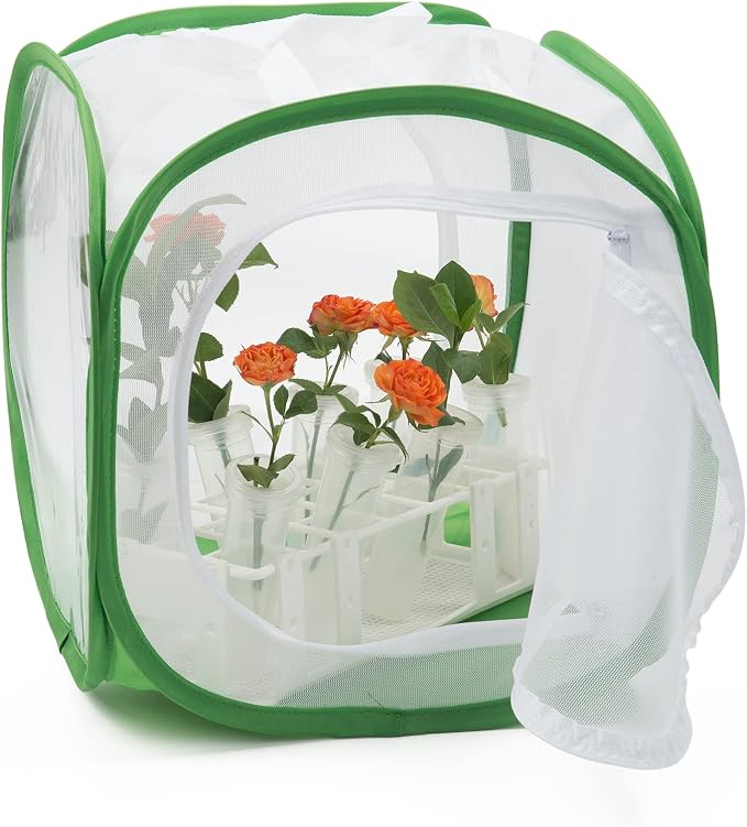 Two Doors Monarch Butterfly Habitat, Insect Mesh Cage, Caterpillar Enclosure Terrarium Pop-up (12 X 12 X 12 Inches)