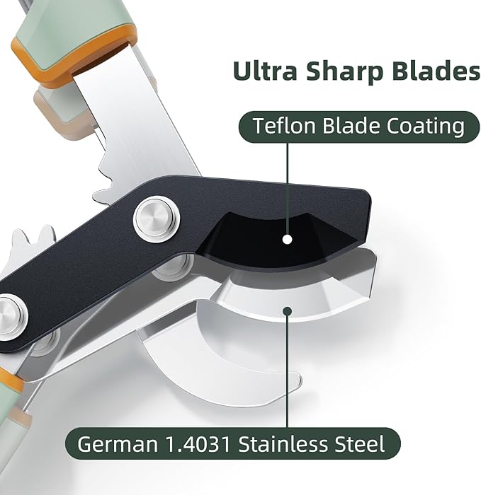 PrunePro Loppers for Tree Trimming Stainless Steel Branch Cutter Heavy Duty Bypass Tree Pruner Rust Resistant Sharp Blade Up to 2" Tree Limb Trimmer for Gardening