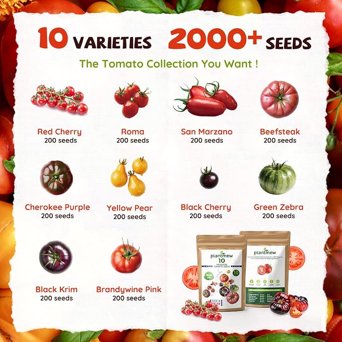 10 Heirloom Tomato Seed Varieties Packet - Open Pollinated Seeds for Planting Home Garden - Beefsteak, Roma, San Marzano, Cherokee Purple, Cherry Tomato & More