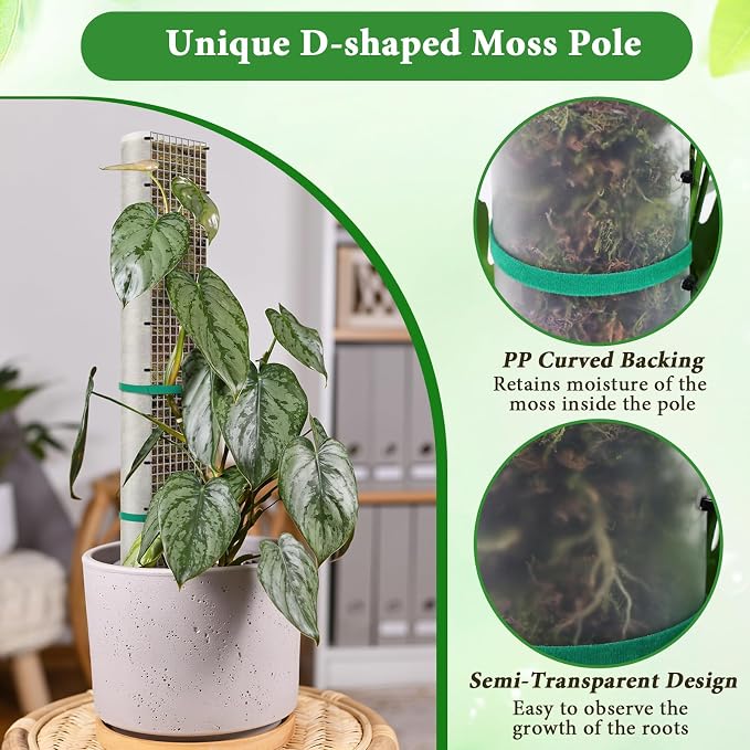 24"+40"+60" Metal Moss Pole - 6 Pack D Shape Sphagnum Moss Pole, Moss Poles for Climbing Plants, Monstera, Climbing Plants Indoor