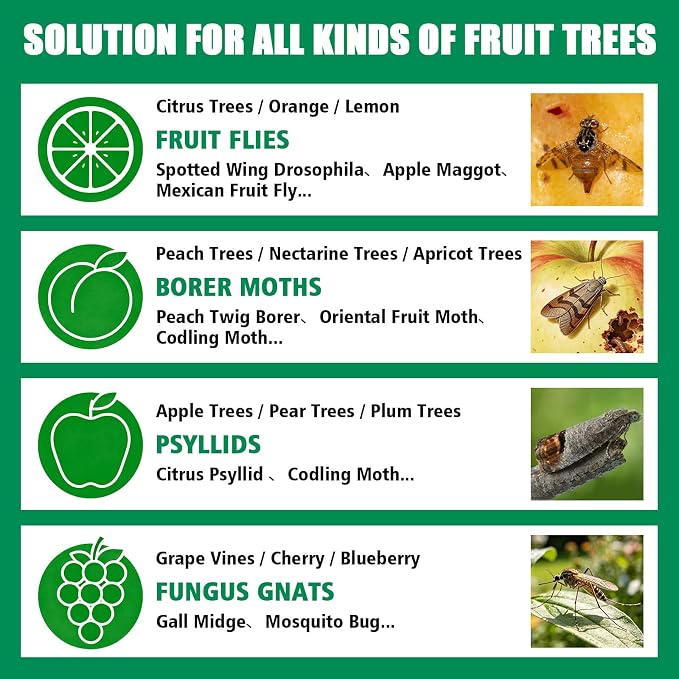 Sticky Insect Trap Ball, osseph Fruit Fly Trap Balls for Indoor Outdoor 6pc, Physical Extra Sticky Hanging Bug Ball Catches Flie Gnat Wasps Mosquitoe Flying Insects (Green)