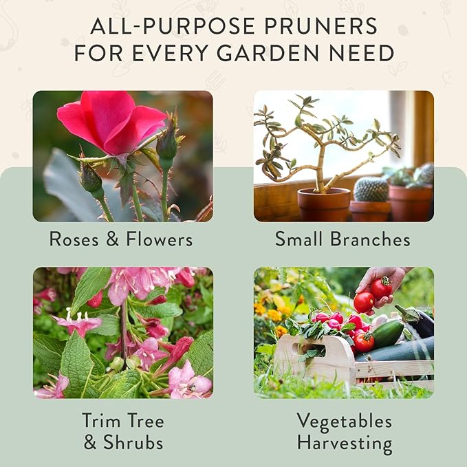 Modern Sprout Hand Pruners - Lightweight Pruning Shears W/Easy Lock- Gardening Scissors - Bypass Sharp Carbon Steel Blade- Rust Resistant -Garden Tools - Reusable Holster - Gift for Father's Day -Sage