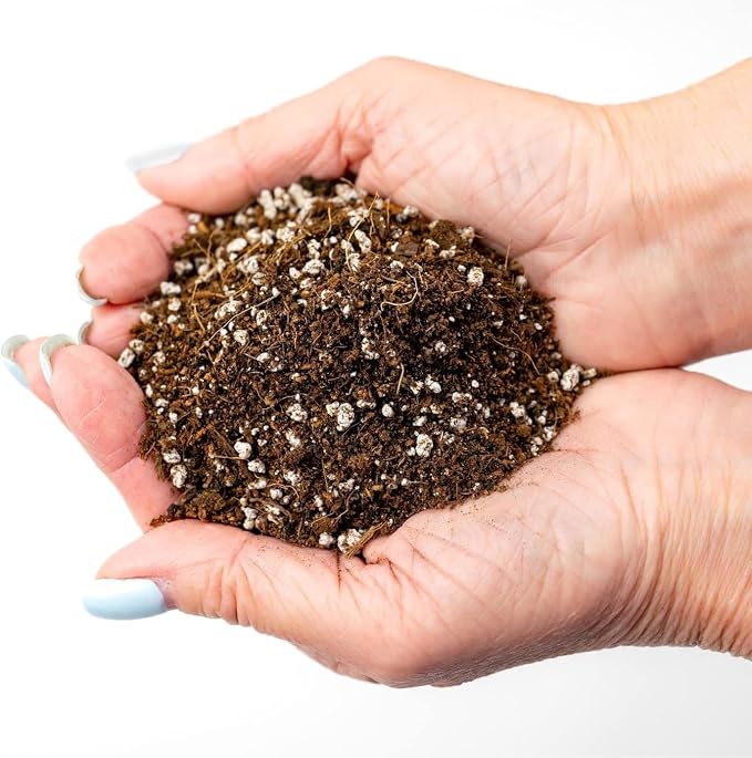 GARDENERA Organic Potting Soil for Tomato Plants - 1 Quart - Hand-Mixed with Natural Ingredients for Optimal Growth and Nutrient Retention