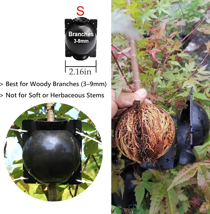 Tree Root Growing Box – Air Layering Propagation Pods for Woody Plants, Reusable Transparent Rooting Device for Magnolia, Fig, Citrus & Roses (10pcs Small, 3–9mm Branches)