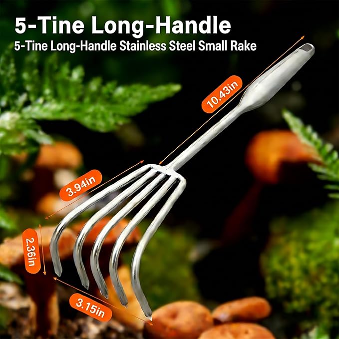 5-Tine Long-Handle Stainless Steel Small Rake – Multi-Purpose Tool for Garden Weeding, Beach Combing & Mushroom Foraging