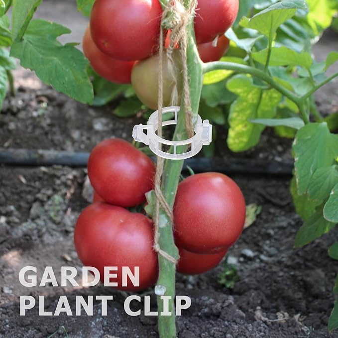 100PCS Plant Support Clips, Tomato Clips, Vine Clips for Climbing Plants to Prevent Tomatoes from Pinching or Falling Off