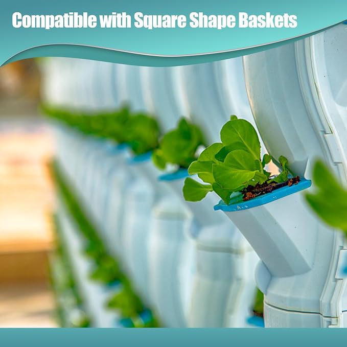 Haligo 50 Pcs Square Hydroponics Pods, Seed Starter Plugs Rapid Rooter, Grow Sponges for Cactus, Succulent, Replacement Cubes for Seeds or Cuttings