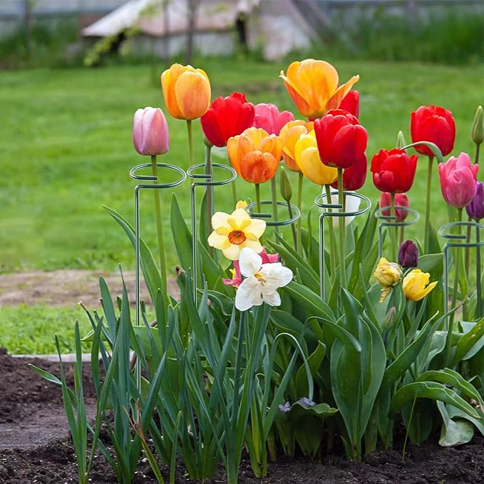 Thealyn 18 Inch 20 Packs Plant Support Stake Garden Single stemmed Plant Support Hoops Plant Prop for Flowers Orchid Tomatoes Peony Lily Rose Gladiolus (18 inch)