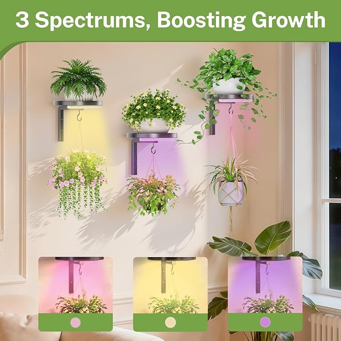 iDavosic.ly Wall Plant Holder with Grow Lights Set of 3 for Indoor Outdoor, Metal Hanger with 2 Hooks, Floating Flower Display Stand for Window, Space Saving & Easy to Assemble (Pots Not Included)