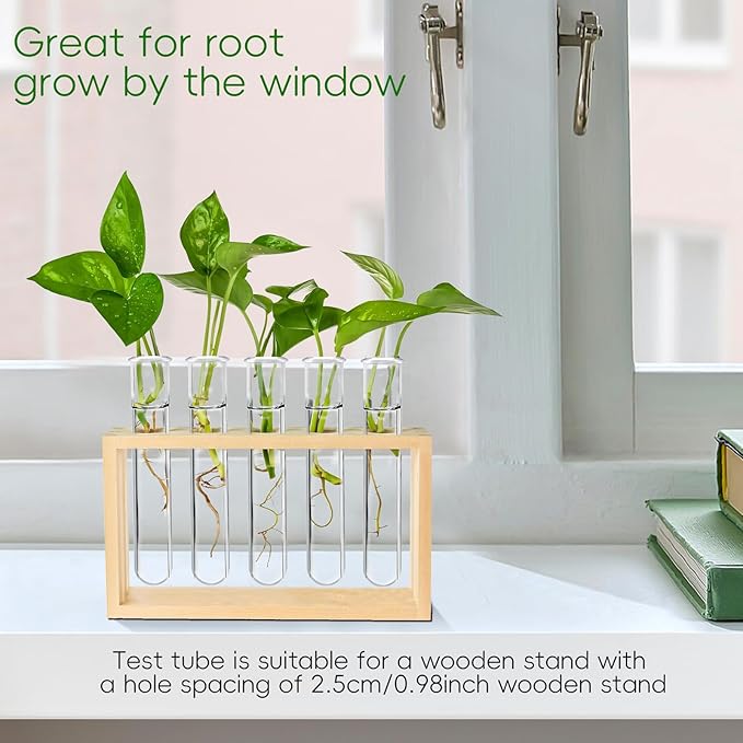 15Pcs Clear Test Tubes for Plant, 20ml Plant Propagation Tube with Brush, Plastic Test Tubes for Hydroponic Plants, Flowers, Home Office Wall Decor (12cm), Transparent