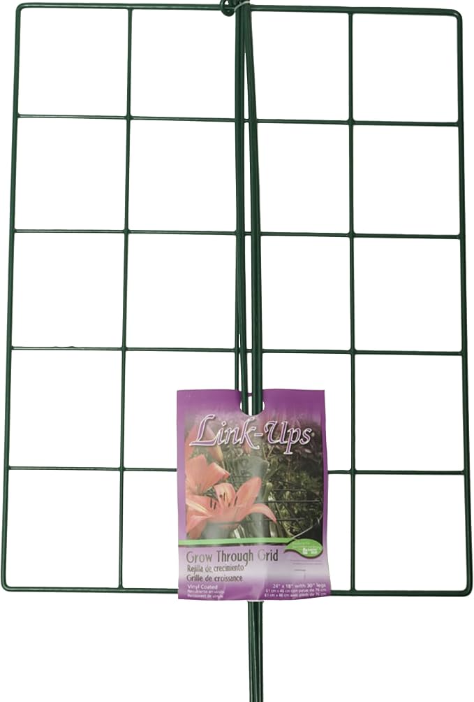 Luster Leaf (970) 24” x 18” Rectangle Grow Through Grid w/ 30” legs