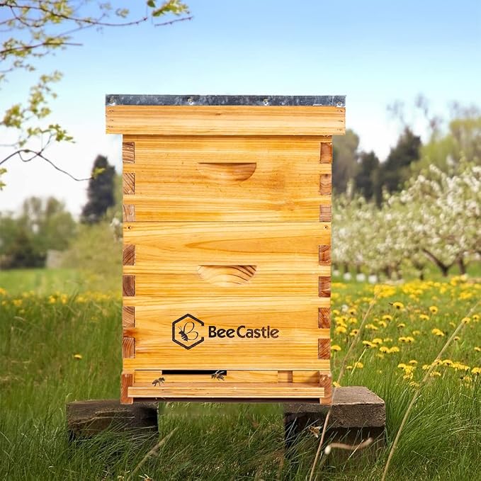 BeeCastle 8 Frame Langstroth Bee Hive Coated with Beeswax Includes Beehive Frames and Waxed Foundations (1 Deep Box & 1 Medium Box)