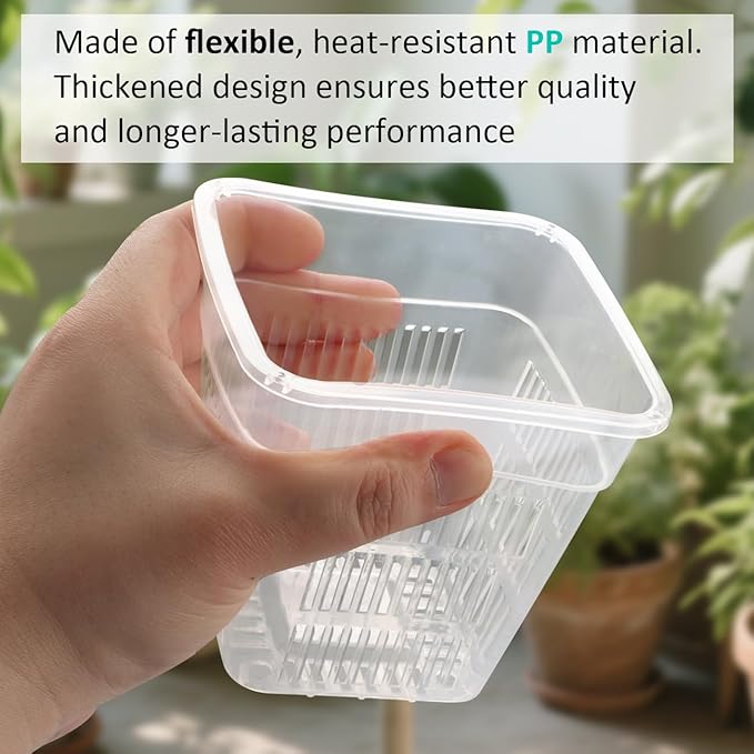 BTPLASTIK Clear Square Nursery Pots, 30 Packs 4 Inch Clear Hydroponics Growing Square Pots, Transparent Plastic Plant Pots for Seed Starting, Root Cutting