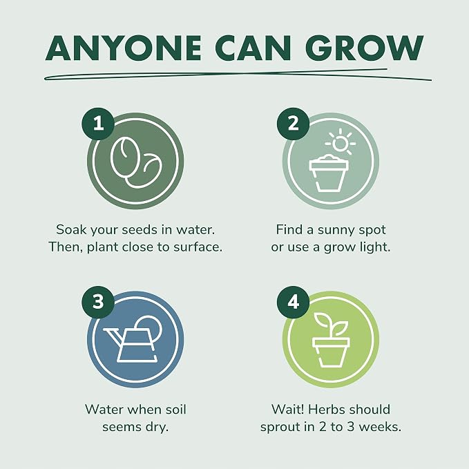 Indoor Herb Garden Starter Kit - Heirloom, Non-GMO Herb Seeds - Basil Thyme Parsley Cilantro Seed, Potting Soil, Pots, Scissors - DIY Grow Kits for Growing Herbs Indoors, Kitchen, Balcony, Window Sill
