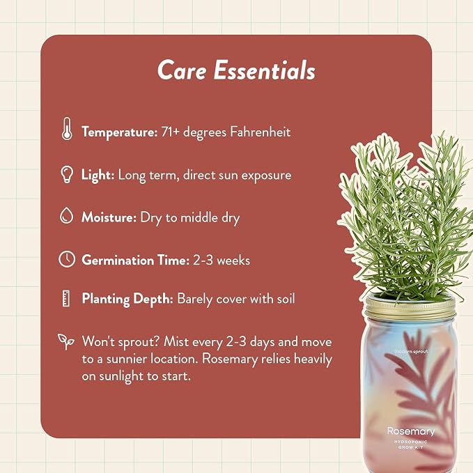Modern Sprout Mason Garden Jar - Self-Watering Hydroponics Growing System Kit with Organic Herb Seeds - Jar Planter for Indoor Herb Garden - Seed Starter Kit - Home Decor & Gifting - Rosemary