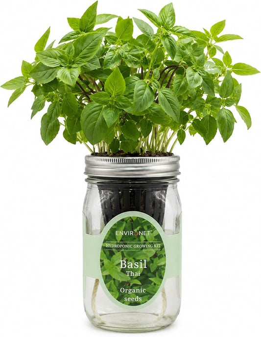 Hydroponic Herb Growing Kit, Self-Watering Mason Jar Herb Garden Starter Kit Indoor, Windowsill Herbs Garden, Grow Your Own Herbs from Organic Seeds (Thai Basil)