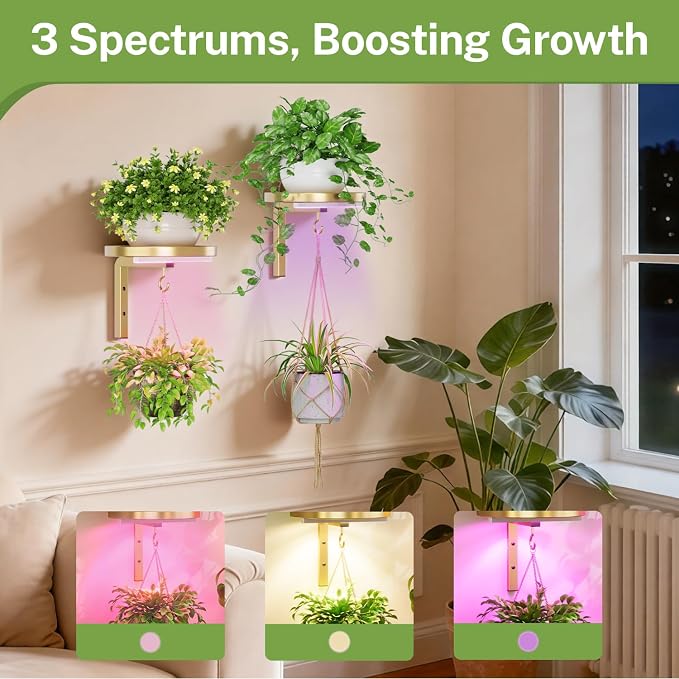 iDavosic.ly Wall Plant Holder with Grow Lights Set of 2 for Indoor Outdoor, Metal Hanger with 2 Hooks, Floating Flower Display Stand for Window, Space Saving & Easy to Assemble (Pots Not Included), Gold