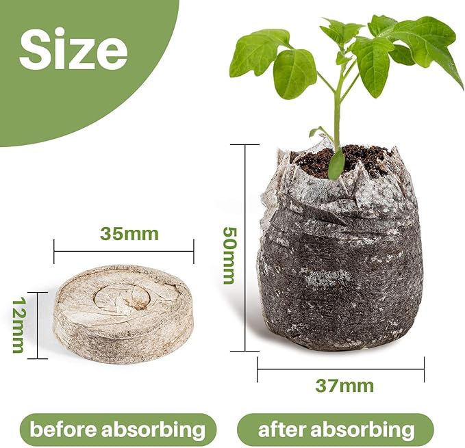 MAQIHAN 100PCS Peat Pellets for Seedlings - 35MM Seed Starter Pellets Peat Pods for Starting Seeds Garden Soil for Planting Transplanting Growing Garden Flower