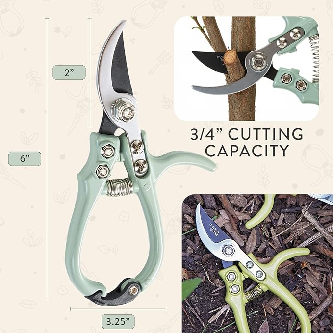 Modern Sprout Hand Pruners - Lightweight Pruning Shears W/Easy Lock- Gardening Scissors - Bypass Sharp Carbon Steel Blade- Rust Resistant -Garden Tools - Reusable Holster - Gift for Father's Day -Sage