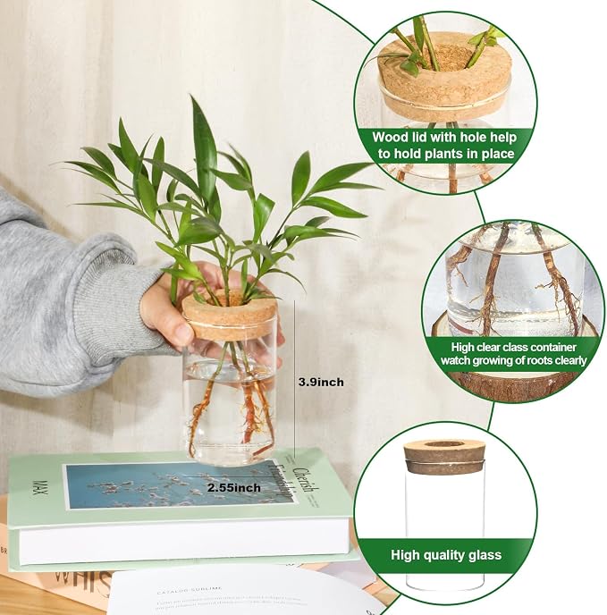 Separated Desktop Glass Flower Vases with Wooden Saucers - Ideal Plants Propagation Stations for Living Room, Bedroom Decoration,Home Decor (9)