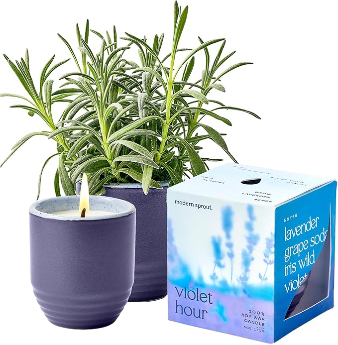 Modern Sprout - 2-in-1 Soy Candle & Planter - Violet Hour (Lavender, Grape Soda, Wild Iris, Violet) 6 Oz Scented Candle w/Lavender Seeds - Ceramic Vessel Dual Purpose Jar - 38-40 Hour Burn