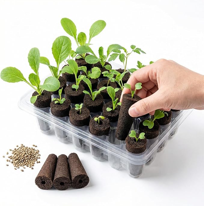 50-Pack Grow Sponges, Hydroponic Planting System Pods, Fast Germinating Seed Starting Sponges, Aerogarden Compatible