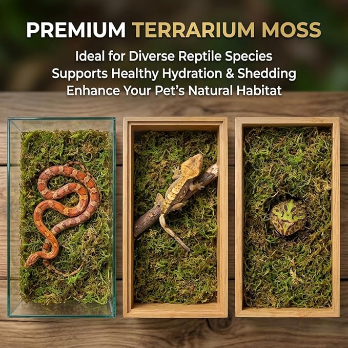 Sukh Sphagnum Moss for Reptiles - Terrarium Reptiles Moss Green Dried Peat Moss Habitat Bedding Moss for Snakes Turtle Frog Gecko and Other Reptiles Substrate (11.2, Ounces)
