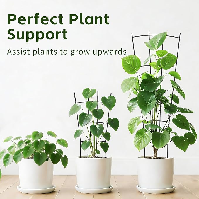 Trellis for Climbing Plants Indoor, 4 Pack 31'' Metal Plant Trellis Indoor for Potted Plants, Sturdy Plant Support Outdoor for Ivy Pothos Monstera Hoya Flower Vine, Fan Shape