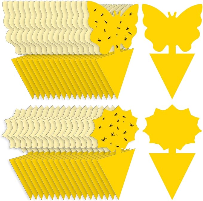Fruit Fly Traps Fungus Gnat Traps Yellow Sticky Bug Traps 36 Pack No Harm and Odorless for Indoor Outdoor Use Protect The Plant