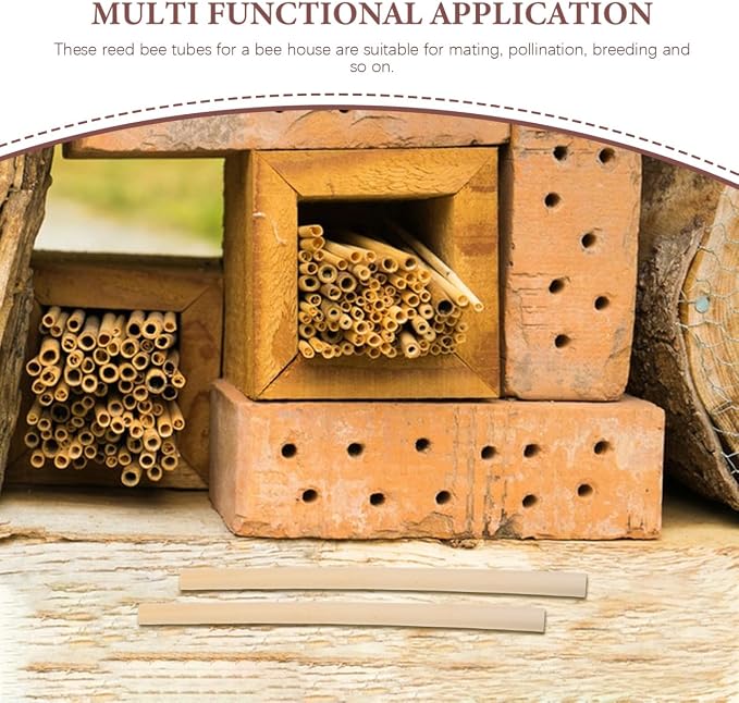 Homoyoyo Natural Reed Mason Bee Tubes, 100-Pack 5.9 Inch Bee House Refill Tubes for Mason and Solitary Colonys, 0.2-0.31 Inch Diameter Reed Nesting for Colony Hotel Garden Pollinator Habitat