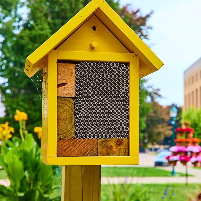 Frcctre 200 Pack Mason Bee House Tubes, 6 Inch Long x 5/16 Inch Diameter Cardboard Nesting Refill Inserts Liners Tubes for Mason Bee House Hotel Condo Beekeeper Accessory