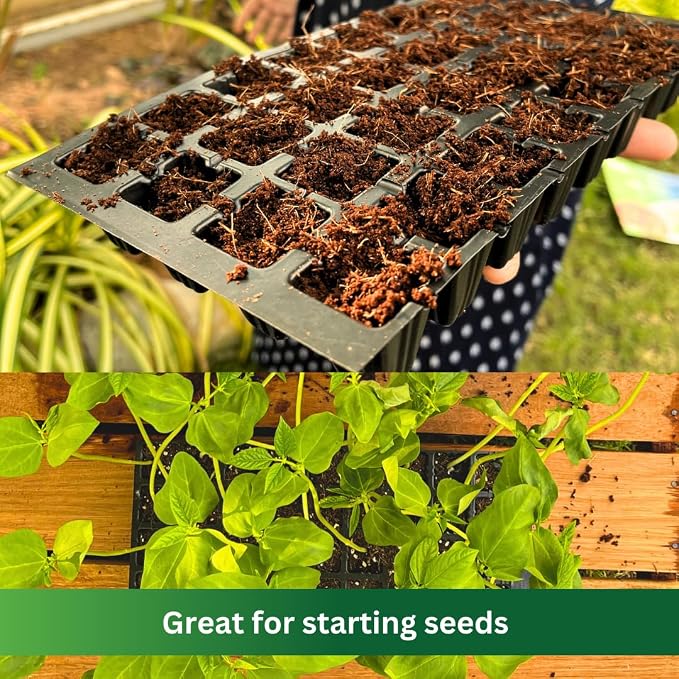Premium Coco Coir by PlantoCare – Professional Grade Coconut Coir Growing Medium, pH Neutral & Low EC – Ideal for Seed Starters, Potting Mix, Hydroponics & Houseplants [10 Bricks of 650 Grams Each]